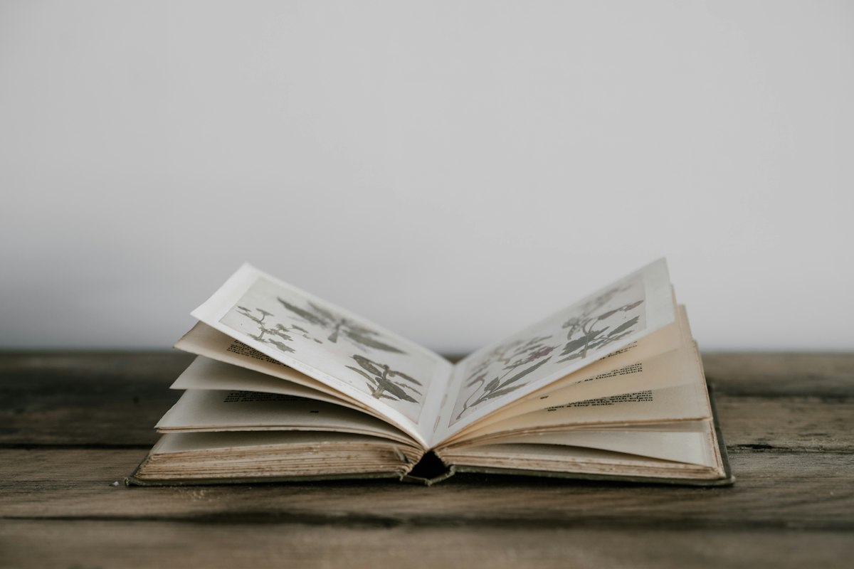 Aufgeschlagenes Buch auf Holztisch